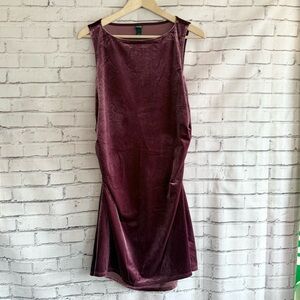 Wild Fable Velvet‎ Dress